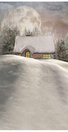 Tło fotograficzne BN_17 domek, Boże Narodzenie, zima
